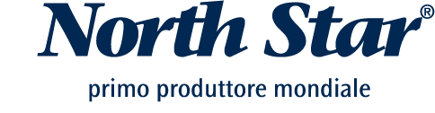 logo-north-star